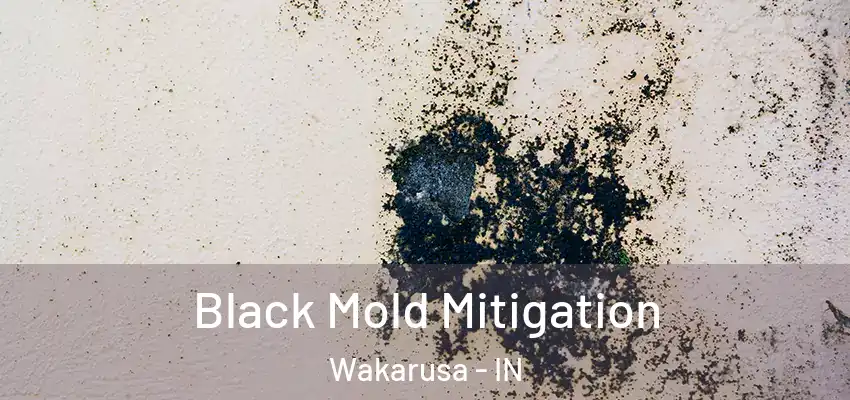  Black Mold Mitigation Wakarusa - IN