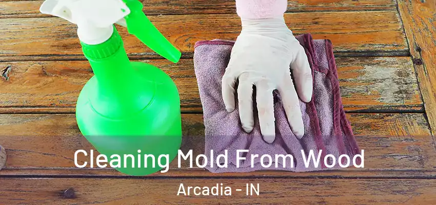  Cleaning Mold From Wood Arcadia - IN