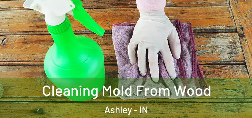 Cleaning Mold From Wood Ashley - IN