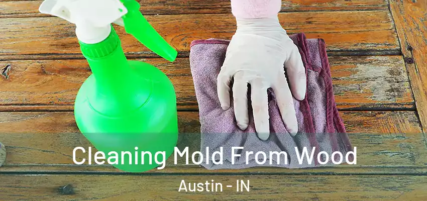  Cleaning Mold From Wood Austin - IN