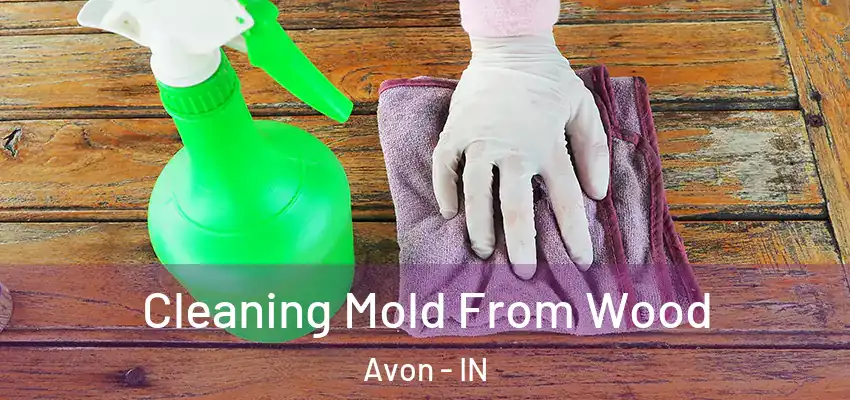 Cleaning Mold From Wood Avon - IN
