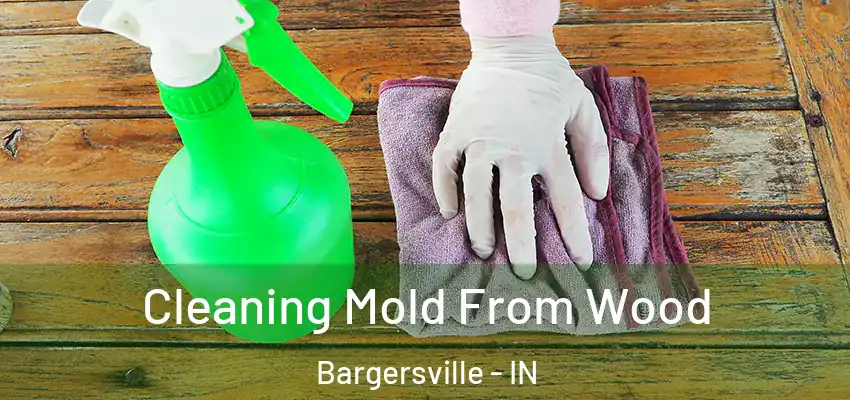  Cleaning Mold From Wood Bargersville - IN
