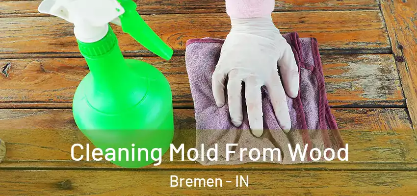 Cleaning Mold From Wood Bremen - IN
