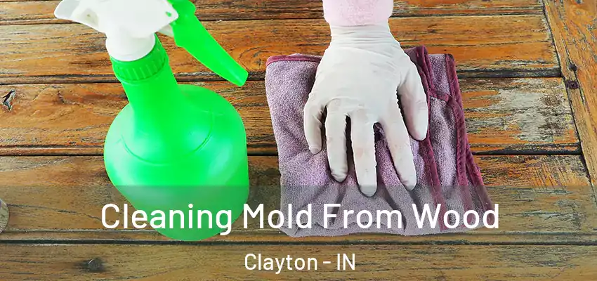  Cleaning Mold From Wood Clayton - IN