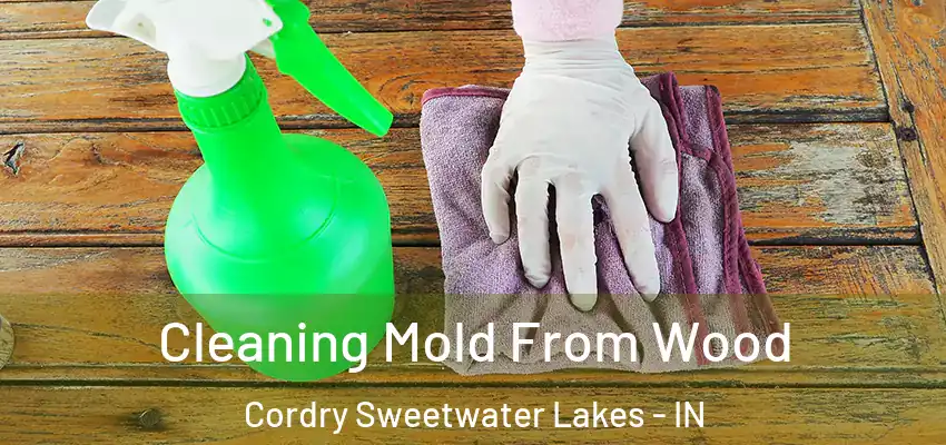 Cleaning Mold From Wood Cordry Sweetwater Lakes - IN
