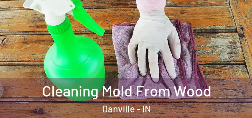  Cleaning Mold From Wood Danville - IN