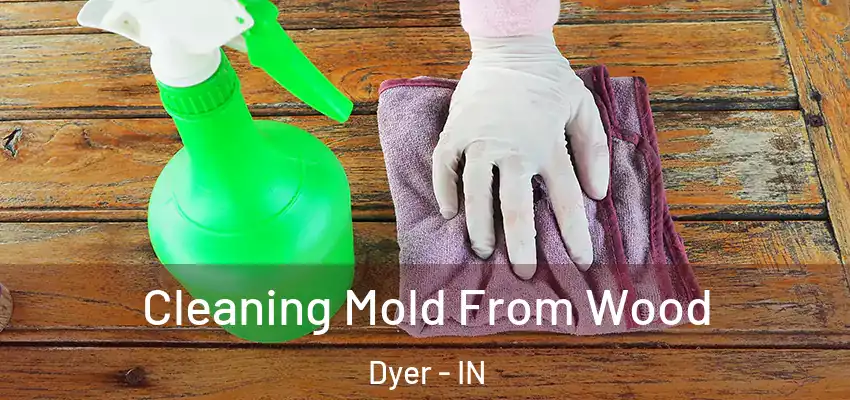  Cleaning Mold From Wood Dyer - IN