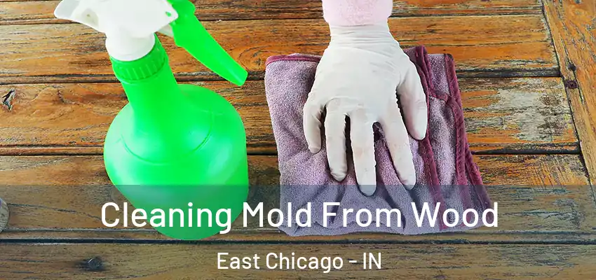  Cleaning Mold From Wood East Chicago - IN
