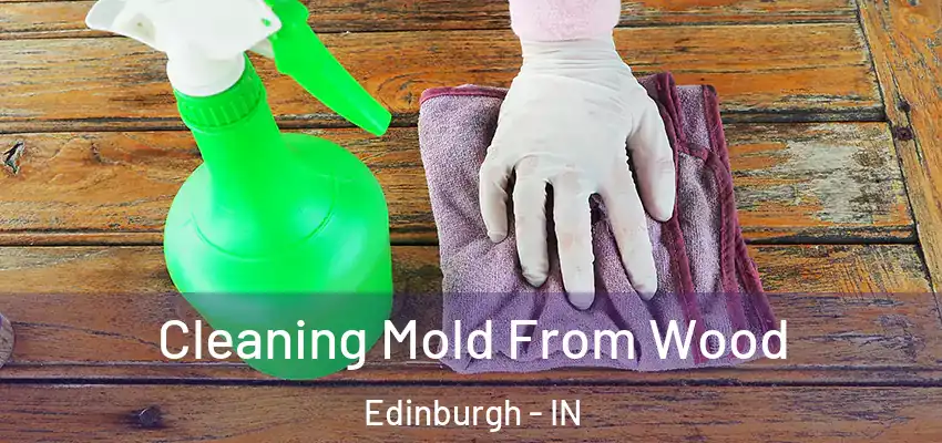 Cleaning Mold From Wood Edinburgh - IN