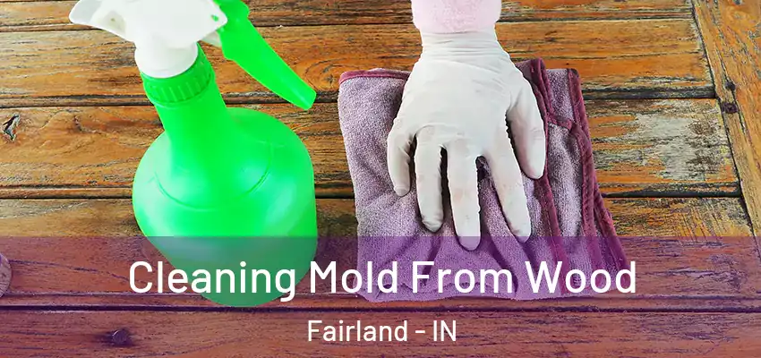  Cleaning Mold From Wood Fairland - IN