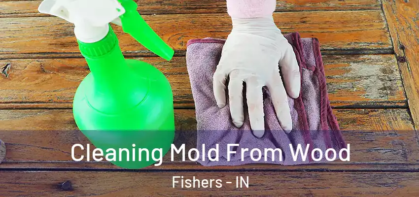  Cleaning Mold From Wood Fishers - IN