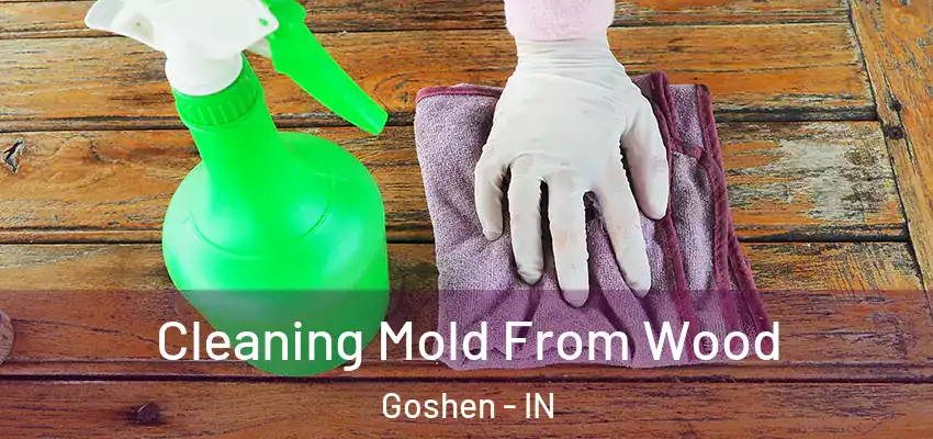  Cleaning Mold From Wood Goshen - IN