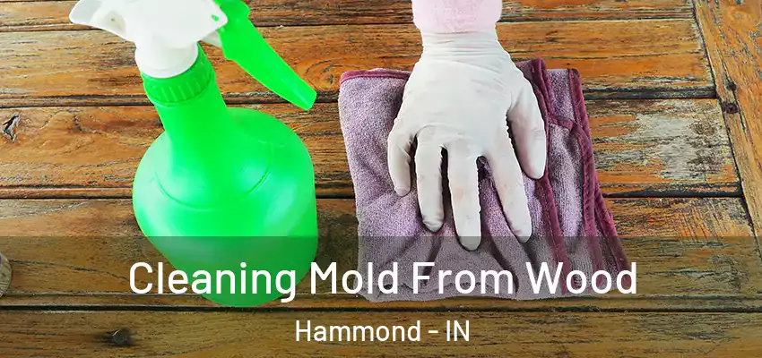 Cleaning Mold From Wood Hammond - IN