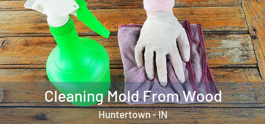  Cleaning Mold From Wood Huntertown - IN