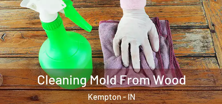 Cleaning Mold From Wood Kempton - IN