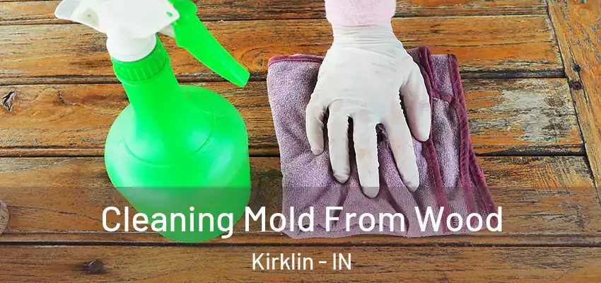 Cleaning Mold From Wood Kirklin - IN