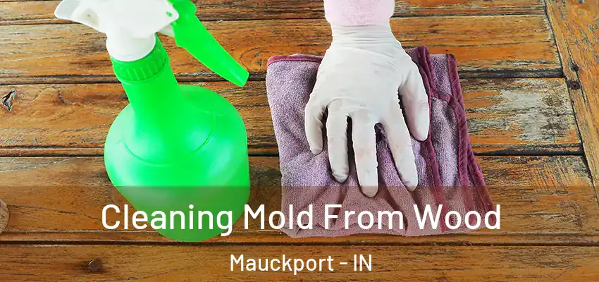  Cleaning Mold From Wood Mauckport - IN