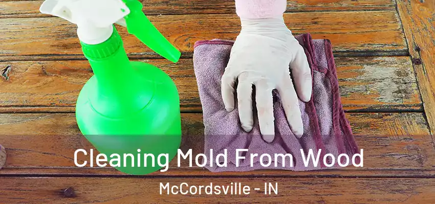  Cleaning Mold From Wood McCordsville - IN