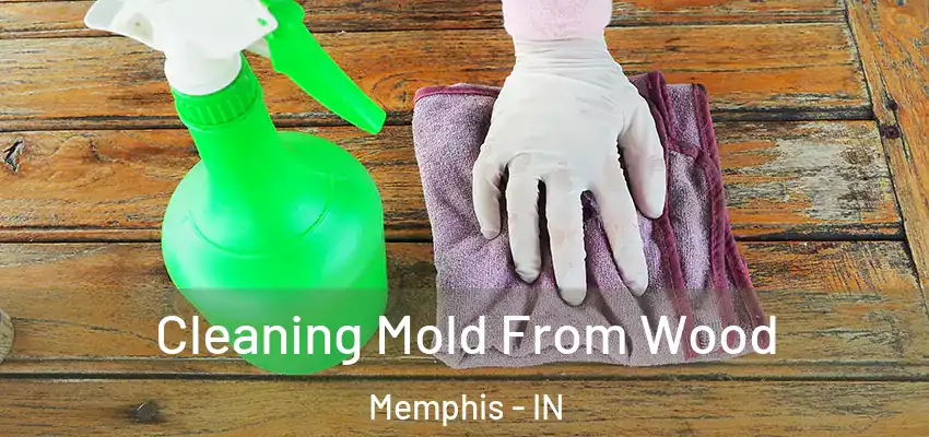  Cleaning Mold From Wood Memphis - IN