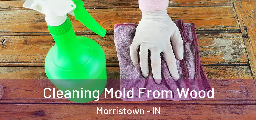  Cleaning Mold From Wood Morristown - IN