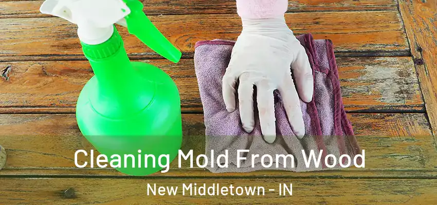 Cleaning Mold From Wood New Middletown - IN