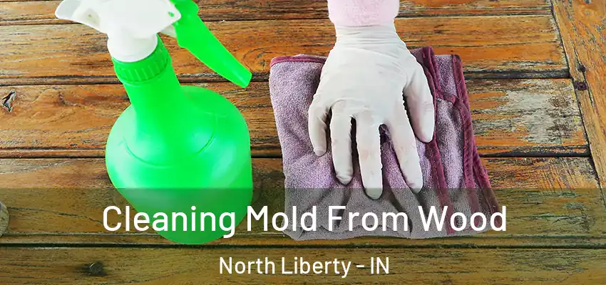  Cleaning Mold From Wood North Liberty - IN