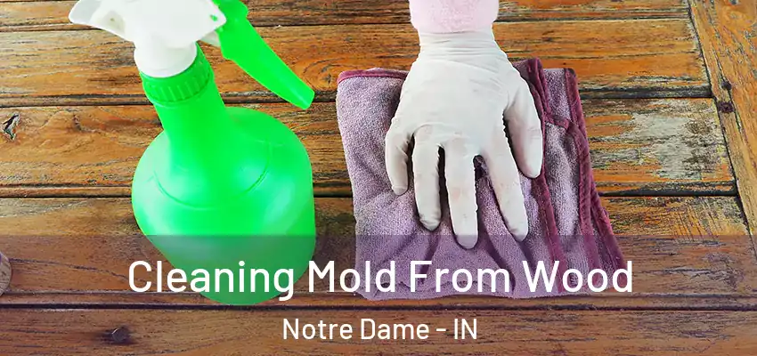  Cleaning Mold From Wood Notre Dame - IN
