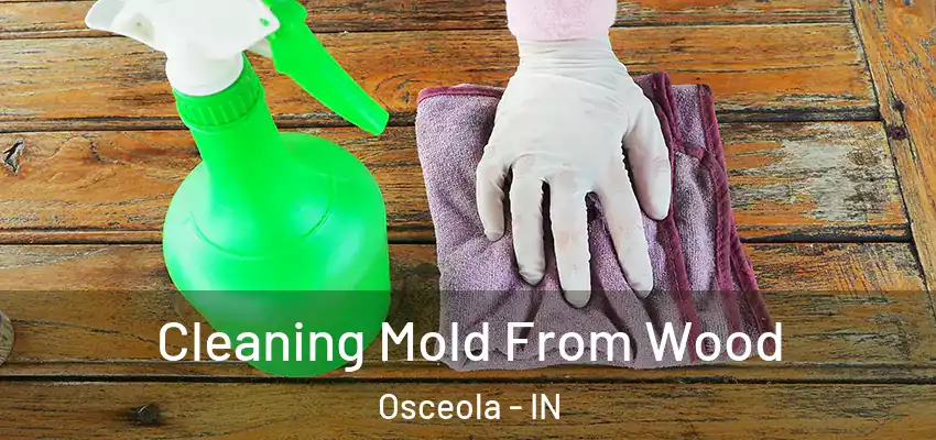  Cleaning Mold From Wood Osceola - IN