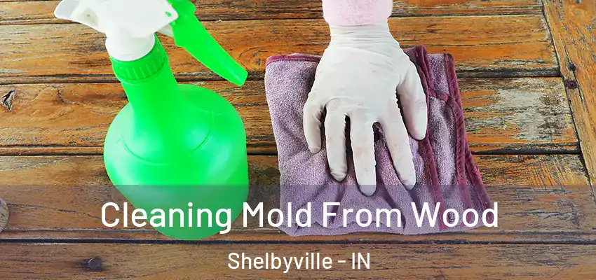  Cleaning Mold From Wood Shelbyville - IN