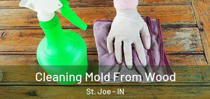  Cleaning Mold From Wood St. Joe - IN