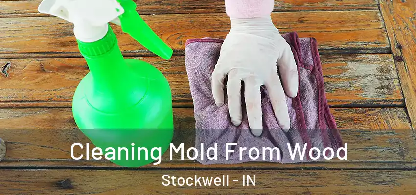  Cleaning Mold From Wood Stockwell - IN