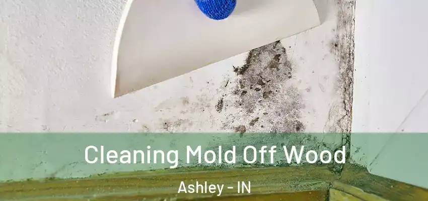 Cleaning Mold Off Wood Ashley - IN