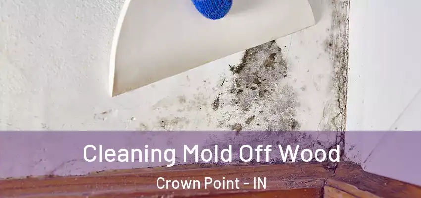  Cleaning Mold Off Wood Crown Point - IN