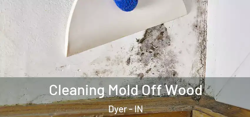  Cleaning Mold Off Wood Dyer - IN