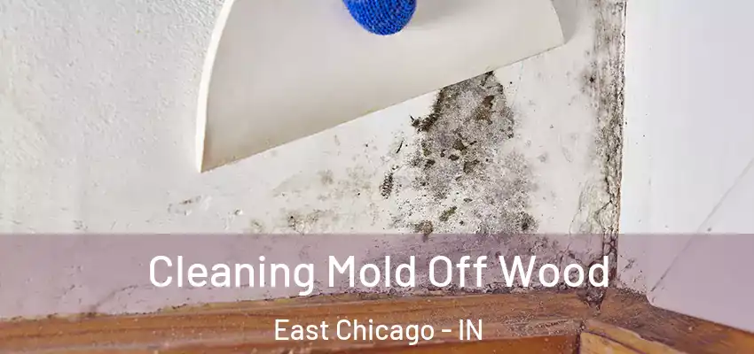 Cleaning Mold Off Wood East Chicago - IN