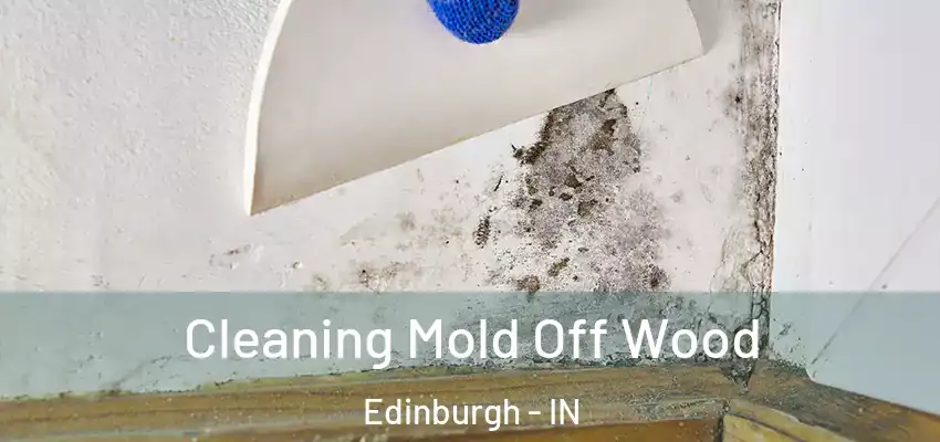 Cleaning Mold Off Wood Edinburgh - IN