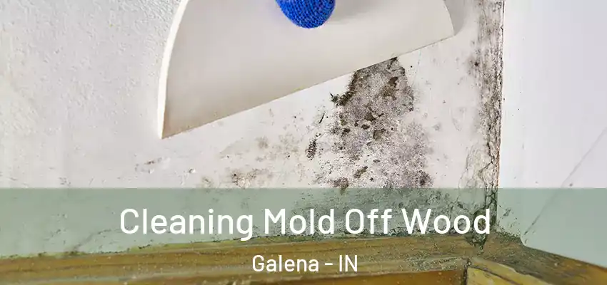  Cleaning Mold Off Wood Galena - IN