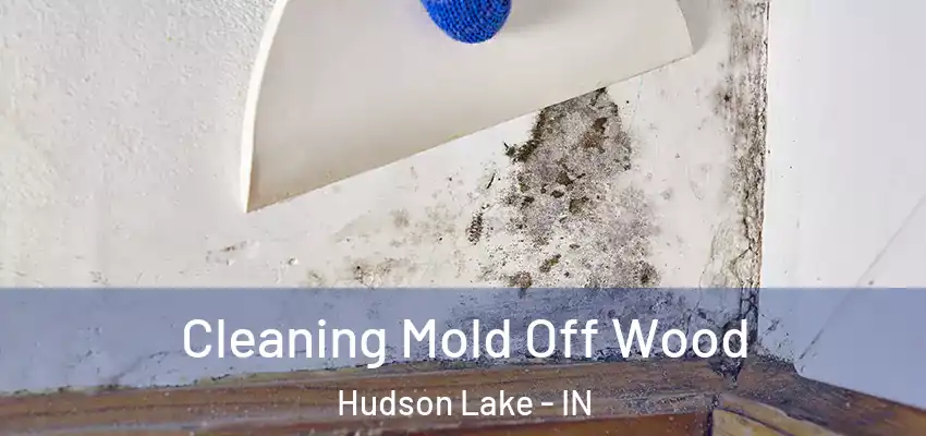  Cleaning Mold Off Wood Hudson Lake - IN