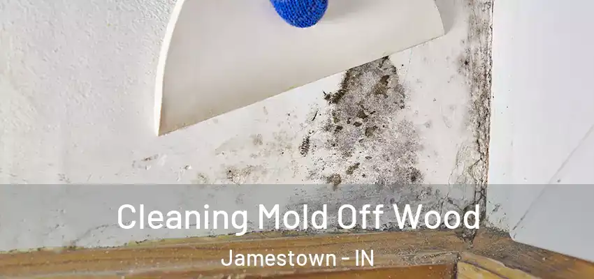  Cleaning Mold Off Wood Jamestown - IN