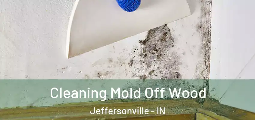  Cleaning Mold Off Wood Jeffersonville - IN