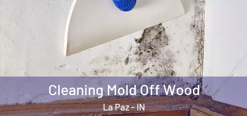  Cleaning Mold Off Wood La Paz - IN