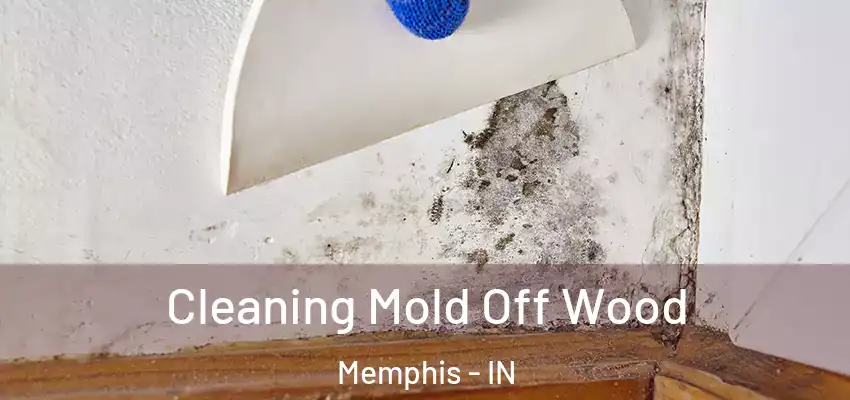  Cleaning Mold Off Wood Memphis - IN