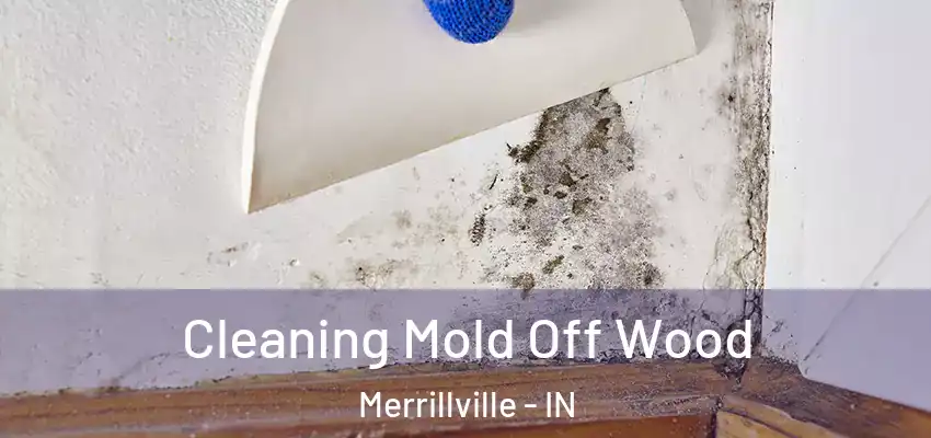  Cleaning Mold Off Wood Merrillville - IN