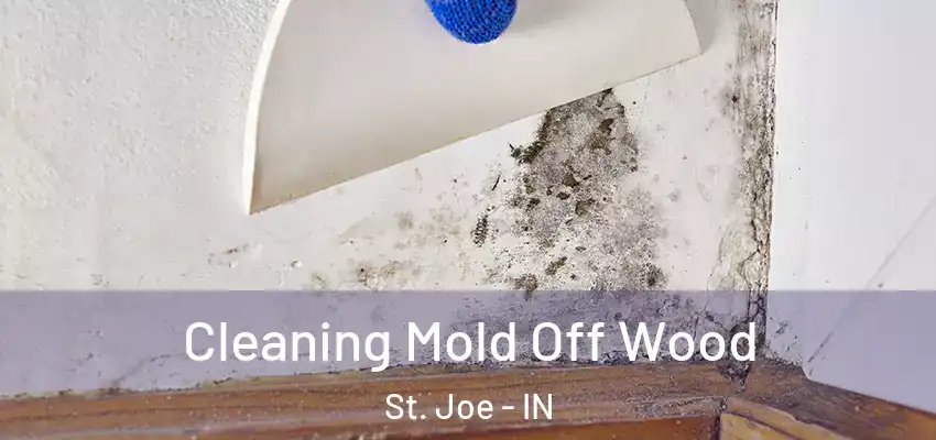  Cleaning Mold Off Wood St. Joe - IN