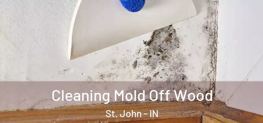  Cleaning Mold Off Wood St. John - IN