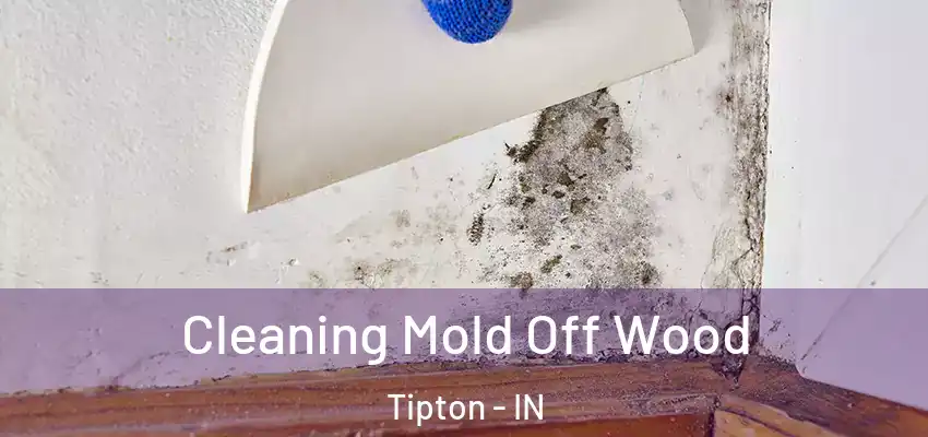Cleaning Mold Off Wood Tipton - IN