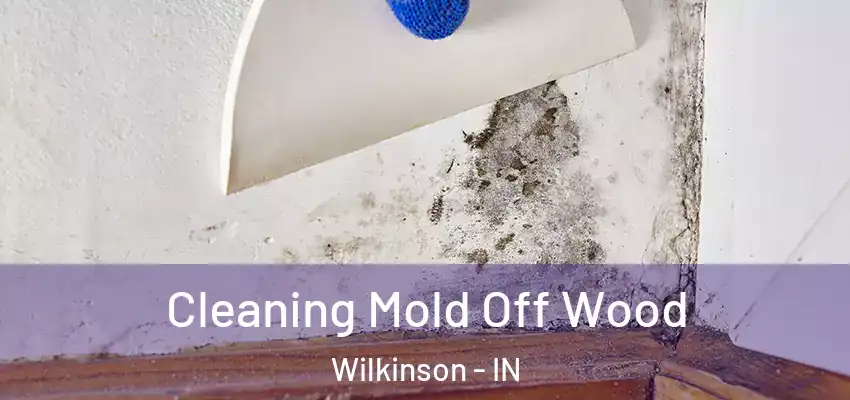  Cleaning Mold Off Wood Wilkinson - IN