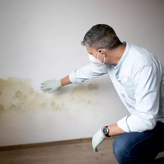 Trusted Mold Remediation and Removal Experts in Lebanon, IN