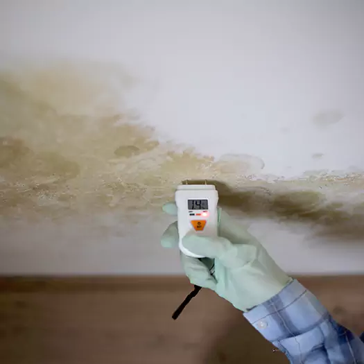 Reliable Mold Inspection Experts in Lebanon, IN
