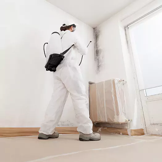 Experienced Mold & Mildew Specialists in Lebanon, IN